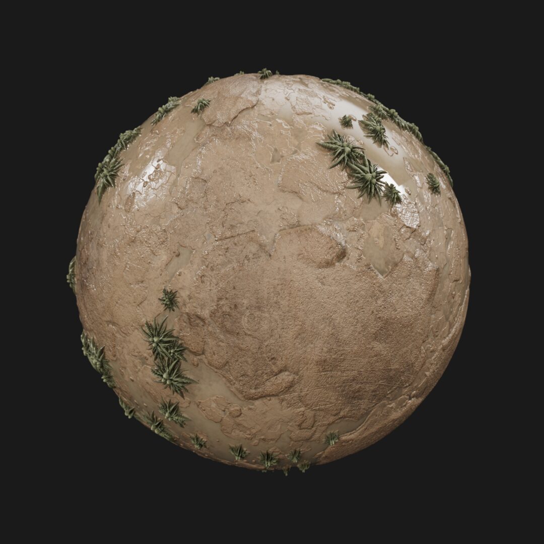 Sandy Rock Grass Clumps Water-C4D Material